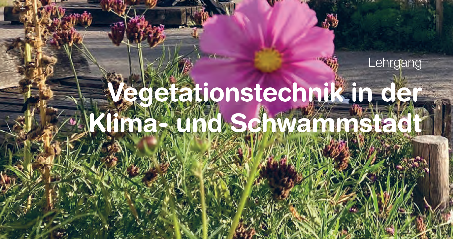  Lehrgang Vegetationstechnik in der Klima- und Schwammstadt 