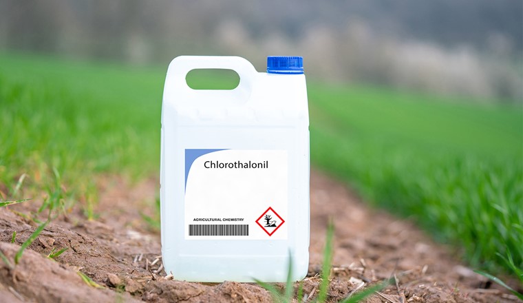 Secondo questa sentenza, i cantoni devono chiedere ai fornitori di acqua di implementare immediatamente le misure precedentemente valutate per ridurre le concentrazioni di metaboliti. (Immagine: Adobe Stock)