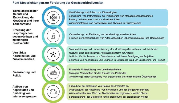 Fig. 4 Fünf Stossrichtungen zur Förderung der Gewässerbiodiversität (verändert nach Moosberger et al. (2023) [13].