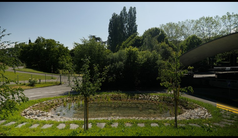Jardin de circulation - Lausanne Jardins 24. Photo (c) ville de Lausanne