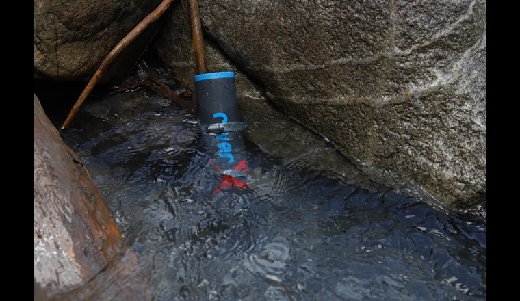 Der Sensor wird am Rand des Flusses befestigt. (Bild: ETH Zürich/Jessica Droujko)