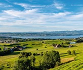 (Bild: Adobe Stock) (Bild: Adobe Stock)