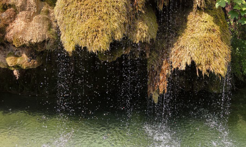 Natürliche Quellen sind Hotspots der Biodiversität und sollten geschützt und erhalten werden.