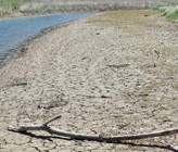 Die Klimaänderungen und ihre Auswirkungen stellen auch im «Wasserschloss Schweiz» eine Herausforderung für Wasserversorgungen dar. Daher erarbeitet der SVGW einen Masterplan Trockenheit, in dem die notwendigen Anpassungen und Aktionsfelder umschrieben werden. (Bild: Adobe Stock) Die Klimaänderungen und ihre Auswirkungen stellen auch im «Wasserschloss Schweiz» eine Herausforderung für Wasserversorgungen dar. Daher erarbeitet der SVGW einen Masterplan Trockenheit, in dem die notwendigen Anpassungen und Aktionsfelder umschrieben werden. (Bild: Adobe Stock)