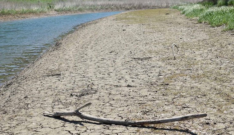 Die Klimaänderungen und ihre Auswirkungen stellen auch im «Wasserschloss Schweiz» eine Herausforderung für Wasserversorgungen dar. Daher erarbeitet der SVGW einen Masterplan Trockenheit, in dem die notwendigen Anpassungen und Aktionsfelder umschrieben werden. (Bild: Adobe Stock)