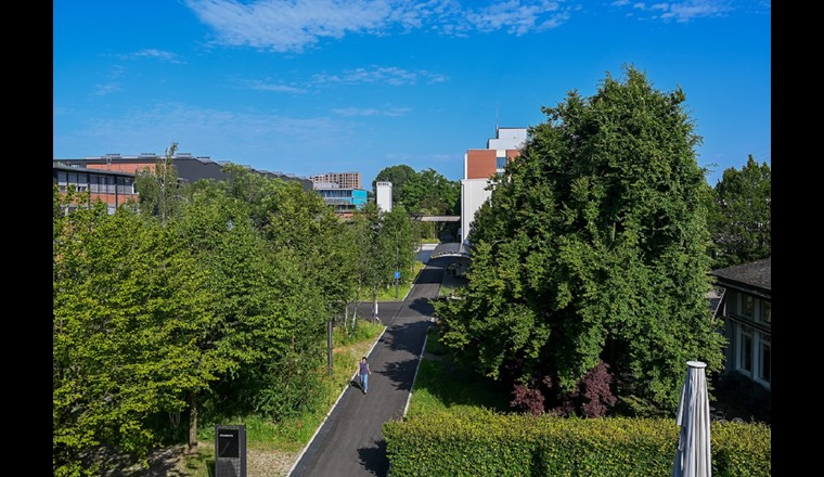 Der nahezu autofreie Campus bekam einen «Grüngürtel», der die beiden Forschungsinstitute Empa und Eawag wie ein grünes Band verbindet. (Bild: Empa)