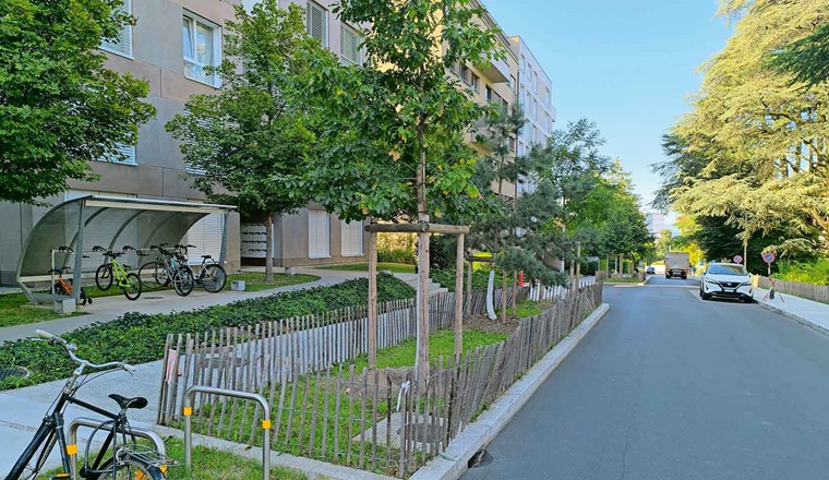 Fig. 7 Aménagements du quartier du Mervelet (l’une des 5 fosses de Stockholm et revêtements perméables). (Image : Frédéeric Bachmann)