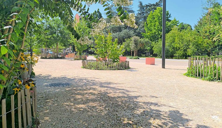 Fig. 6 Réaménagement de la rue des Rois (fosses de Stockholm continues), Ville de Genève. (Image : Frédéeric Bachmann)