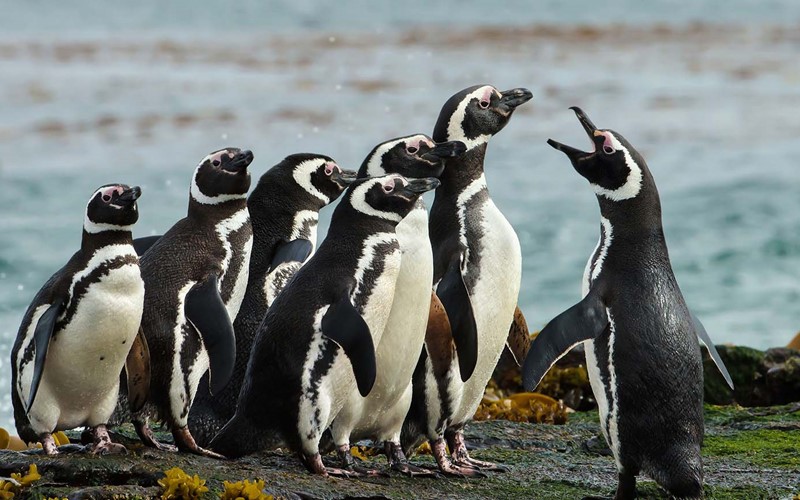 Lehrgang «Teamleiter/in SVGW» 2026