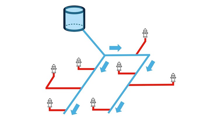 Fig. 2 Das Verteilnetz kann unterteilt werden in einen Teil, der mit frischem, kühlem Wasser regelmässig durchflossen und ausgetauscht wird, z. B. das Hauptverteilnetz (blau), und einen Teil, der stagniert und im Sommer erwärmt wird, z. B. die Zuleitung zu den Hydranten (rot). Das Volumen der Hydrantenzuleitung entspricht ca. 1% des Volumens des Gesamtnetzes.
