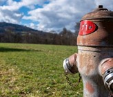 (Bild: Adobe Stock) (Bild: Adobe Stock)