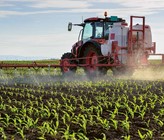 Chemische Verunreinigungen wie Pestizide, Nitrat und andere Stoffe verschmutzen die Trinkwasserressourcen zunehmend. Sie müssen besser vor diesen Einträgen geschützt werden. (Bild: Adobe Stock) Chemische Verunreinigungen wie Pestizide, Nitrat und andere Stoffe verschmutzen die Trinkwasserressourcen zunehmend. Sie müssen besser vor diesen Einträgen geschützt werden. (Bild: Adobe Stock)
