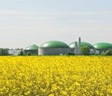 In Biogasanlagen entsteht CO2 als Abfallprodukt der Gasaufbereitung und ist somit sehr billig. Es lässt sich direkt für die Produktion von Methan und Methanol verwenden, wenn es mit bereits produziertem Wasserstoff zusammenkommt - idealerweise geschieht dies in Behältern direkt neben den Fermentern, in denen Biomasse zu Biogas vergärt. (© AdobeStock) In Biogasanlagen entsteht CO2 als Abfallprodukt der Gasaufbereitung und ist somit sehr billig. Es lässt sich direkt für die Produktion von Methan und Methanol verwenden, wenn es mit bereits produziertem Wasserstoff zusammenkommt - idealerweise geschieht dies in Behältern direkt neben den Fermentern, in denen Biomasse zu Biogas vergärt. (© AdobeStock)