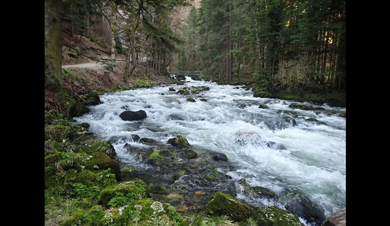 Sources de l’Orbe à Vallorbe (c) DGE