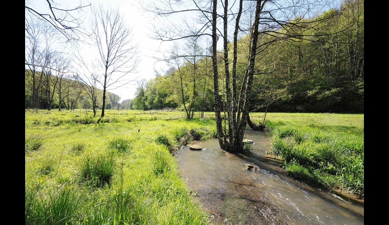 La Vendeline – Zukunftsbild für anstehendes Revitalisierungsprojekt. (© C. Tesini)