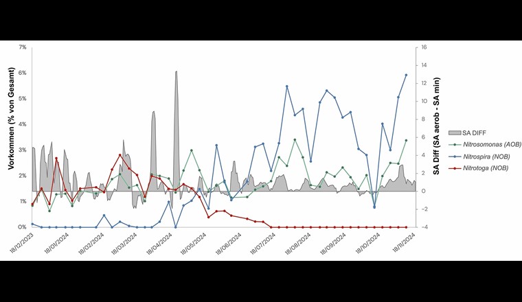 Fig. 3 Relatives Vorkommen von Nitrifikanten-Gattungen im Rücklaufschlamm des Hybridwirbelbettes in Linienplot. Das Flächendiagramm in Hintergrund zeigt die SA-Differenz (SA aerob – SA Minimum) zu den jeweiligen Zeitpunkten.