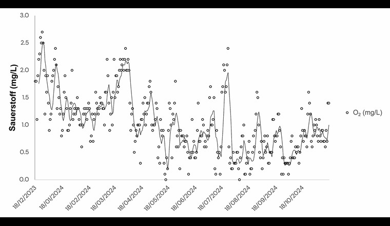 Fig. 4 Sauerstoffkonzentrationen in der bivalenten Zone. Die Linie zeigt den gleitenden Mittelwert (3 Tage) der Daten.