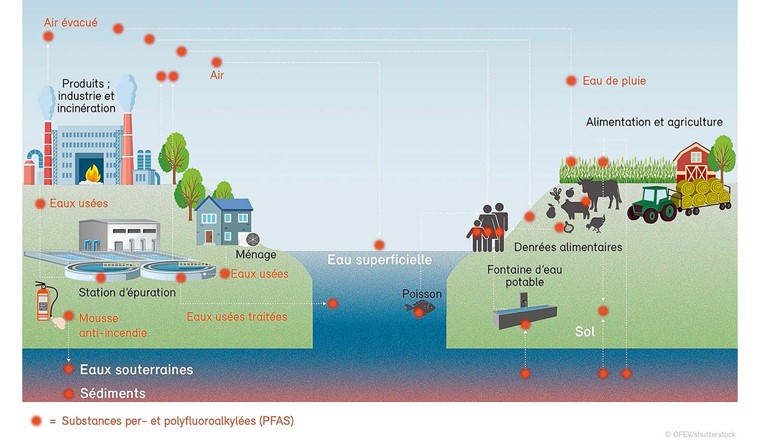 Fig. 2 Représentation des voies de propagation des PFAS dans l’environnement. (Source: [1])