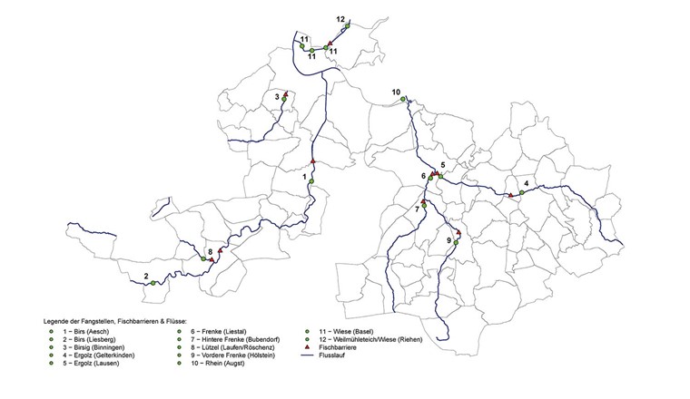 Fig. 1 Fangstellen, Fischwanderbarrieren und Flüsse in den Kantonen Basel-Landschaft und -Stadt.