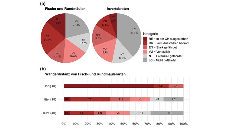 Fig. 4 (a) Anteile der Gefährdungskategorien von Fischen und Rundmäuler sowie Invertebraten in der Schweiz; (b) die Anteile der Gefährdungskategorien der Schweizerischen Fisch- und Rundmäulerarten (66 Arten) für drei Mobilitätsklassen. Die Gefährdungskategorien entsprechen den IUCN- und VBGF-Kriterien, wobei die rot eingefärbten Kategorien jenen entsprechen, die sich auf den Roten Listen der bedrohten Arten befinden. (Abbildungen leicht angepasst aus BAFU/info fauna [32])