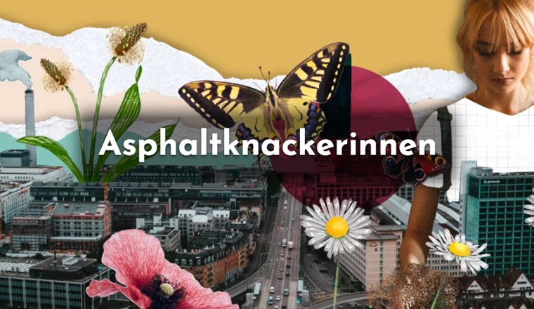 (Bild: Website Asphaltknackerinnen)