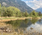 Die Gewässer sollen besser vor Mikroverunreinigungen geschützt werden. 
Foto: Sicher/VSA Die Gewässer sollen besser vor Mikroverunreinigungen geschützt werden. 
Foto: Sicher/VSA