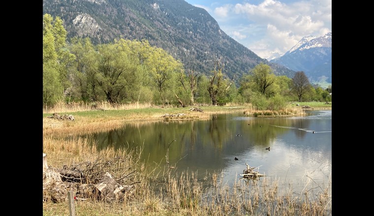 eaux doivent être mieux protégées contre les micropolluants. Photo : P.Sicher/VSA