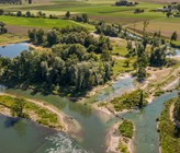 Die Revitalisierung von Gewässern ist eine der wichtigsten Massnahmen für die Anpassung an den Klimawandel und den Erhalt der Biodiversität überhaupt.. Chly Rhy AG, Foto (c): Herbert Böhler & Markus Forte/Ex-Press/BAFU Die Revitalisierung von Gewässern ist eine der wichtigsten Massnahmen für die Anpassung an den Klimawandel und den Erhalt der Biodiversität überhaupt.. Chly Rhy AG, Foto (c): Herbert Böhler & Markus Forte/Ex-Press/BAFU
