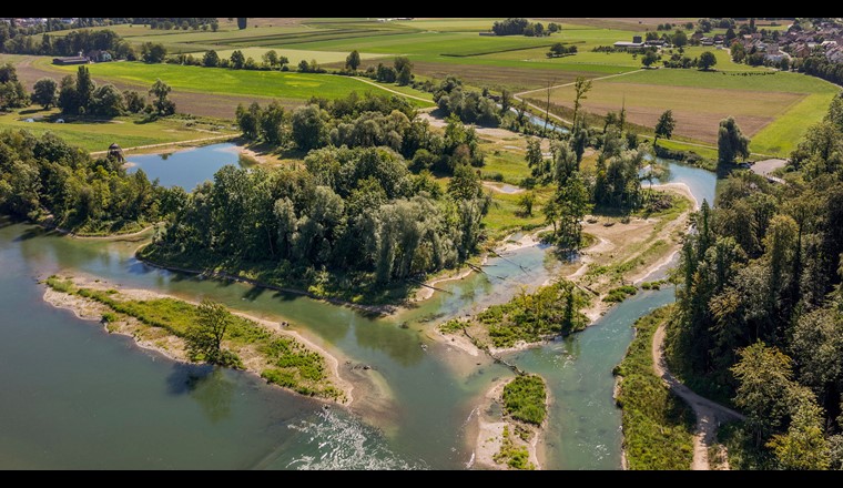 Die Revitalisierung von Gewässern ist eine der wichtigsten Massnahmen für die Anpassung an den Klimawandel und den Erhalt der Biodiversität überhaupt.. Chly Rhy AG, Foto (c): Herbert Böhler & Markus Forte/Ex-Press/BAFU