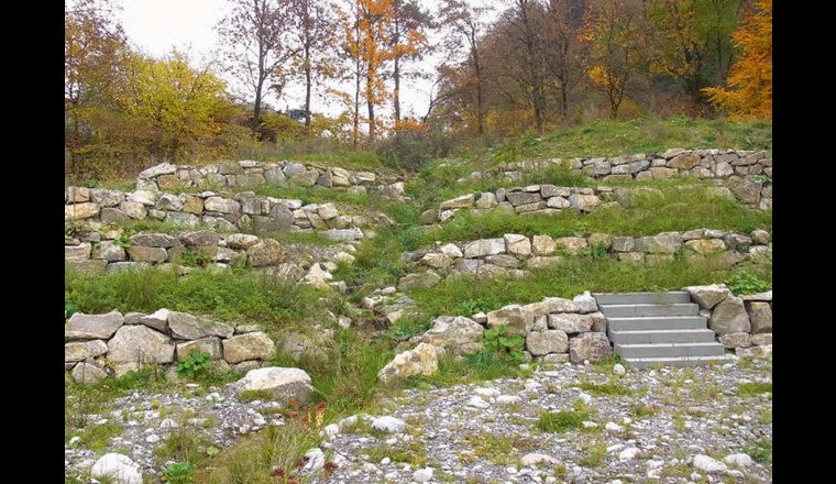 Fig. 3 La zone qui jouxte l’hydrobiotope est parsemée de murs de pierres sèches, de plantes sauvages et d’une grande surface rudérale. Des plantes photophiles rares y trouvent la place nécessaire à leur croissance et les reptiles ainsi que les insectes peuvent s’y nourrir et s’y réfugier.