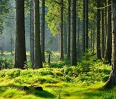 (Bild: Adobe Stock) (Bild: Adobe Stock)