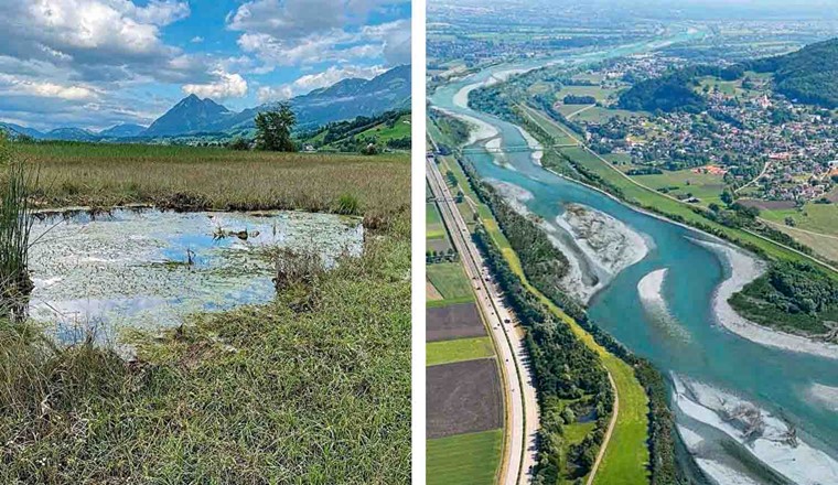 Oben: Teich bei Sachseln. Obwalden will ein Netz naturnaher Flächen schaffen und verabschiedet dazu ein Gesamtkonzept «Naturförderung». (Bild:  Kt. Obwalden) Unten: So könnte der heute noch vollständig kanalisierte Alpenrhein nach der Umsetzung des Projektes «Rhesi» im Bereich Oberriet (SG) aussehen. (Visualisierung: Rhesi)
