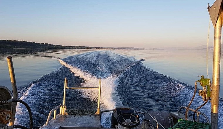 Die Fischereierträge aus dem Neuenburgersee verharren auf tiefem Stand. Die Interkantonale Fischereikommission schlägt nun diverse Massnahmen vor, u. a. eine Lockerung der Schutzbestimmungen für den Kormoran. (Bild: C. Delley/Kt. Freiburg)