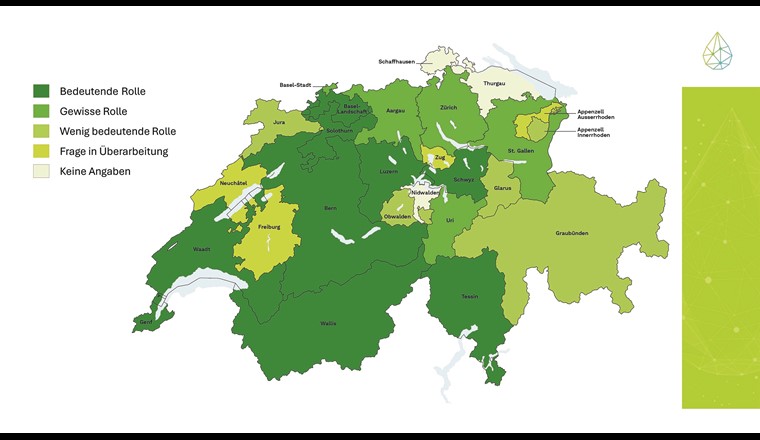Fig. 1 Die Bedeutung von Wasserstoff in den Kantonen.