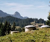 Quellwasser bildet oft das Rückgrat der Trinkwasserversorgung in Notlagen. (Bild: SVGW) Quellwasser bildet oft das Rückgrat der Trinkwasserversorgung in Notlagen. (Bild: SVGW)