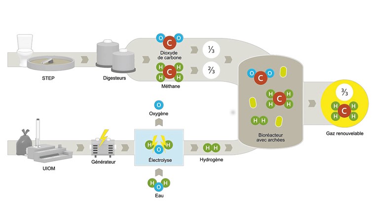 Fig. 2 Schéma du processus de transformation en biométhane du gaz de digestion issu de la STEP et de l’hydrogène produit par électrolyse avec de l’électricité issue de l’usine d’incinération des ordures ménagères. (Image: Limeco)