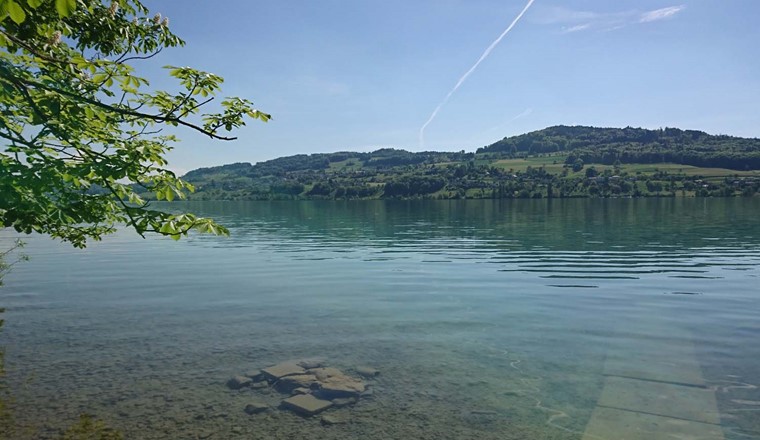 Auch die Wasserqualität des Hallwilersees ist durch den Eintrag von Phosphor betroffen. (Bild: Adobe Stock)