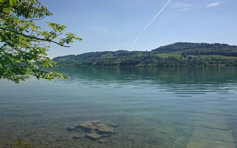 Kanton Luzern will Phosphoreinträge in drei Seen weiter reduzieren