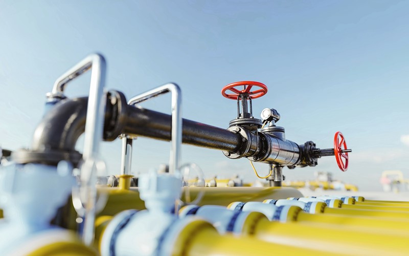 Wegbereiterin der Energiewende