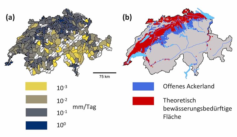Fig. 2a&b Abwasseranfall bei Trockenwetter in mm/d je hydrologischem Einzugsgebiet (a), die schwarzen Punkte repräsentieren die 80 grössten ARAs der Schweiz [19]. Offenes Ackerland sowie der theoretisch bewässerungsbedürftigen Fläche (b), modelliert für den Zeitraum 2021–2050 [8].