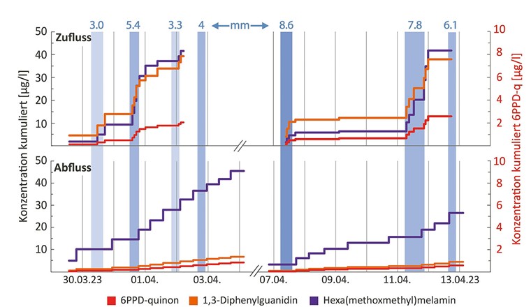 Fig. 2 Kumulierte Konzentrationen der drei Substanzen 6PPDq, 1,3DPG und HMMM über die Zeit in Tagen im Zufluss (oben) und Abfluss (unten) der SABA Rubigen. Die abflussproportionalen Konzentrationen sind als waagrechte Striche dargestellt und repräsentieren unterschiedliche Zeitintervalle. Die Konzentration von 6PPDq wird an der Sekundärachse um Faktor 5 vergrössert abgebildet. Die Regenereignisse sind mit blauen Balken senkrecht dargestellt, die Zahl darüber ist die Regenmenge, die Farbabstufung stellt die Regenintensität dar.