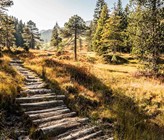 Die gesmate Fläche der Moore in der Schweiz ist zurück gegangen. Moorlandschaft im Entlebuch, Kanton Luzern (Bild: Adobe Stock) Die gesmate Fläche der Moore in der Schweiz ist zurück gegangen. Moorlandschaft im Entlebuch, Kanton Luzern (Bild: Adobe Stock)