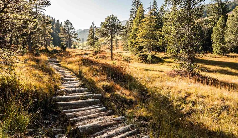 La superficie totale delle torbiere in Svizzera è diminuita. Paesaggio palustre nell'Entlebuch, Canton Lucerna (Immagine: Adobe Stock)