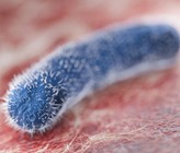 (Bild: Adobe Stock) (Bild: Adobe Stock)