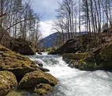 Die Thur im Toggenburg. (Bild: Adobe Stock) Die Thur im Toggenburg. (Bild: Adobe Stock)