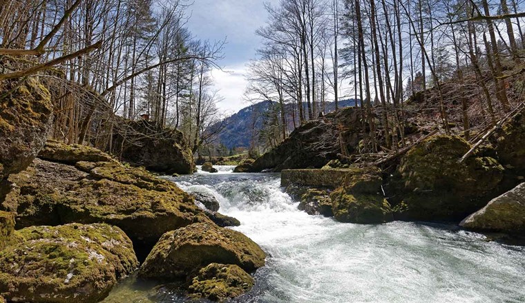Die Thur im Toggenburg. (Bild: Adobe Stock)
