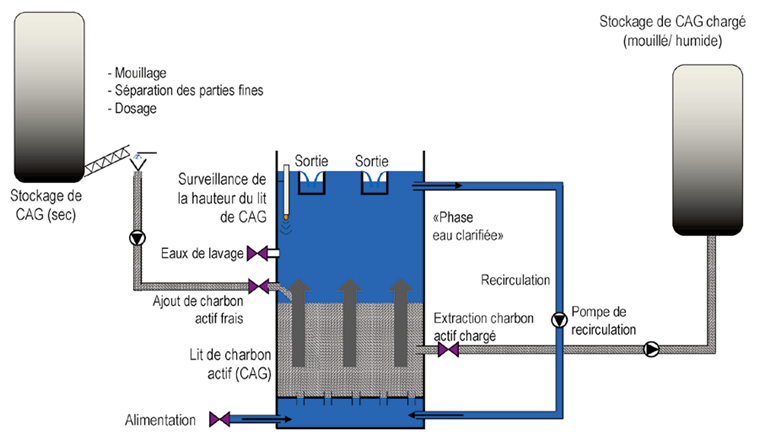 Fig. 6 Schéma général de CAG dans un lit fluidisé