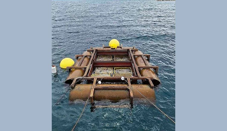 Fig. 1 La plateforme pour la croissance des macrophytes (avec différents substrats).