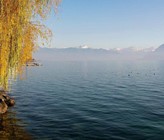 Genfersee (Bild: Adobe Stock) Genfersee (Bild: Adobe Stock)
