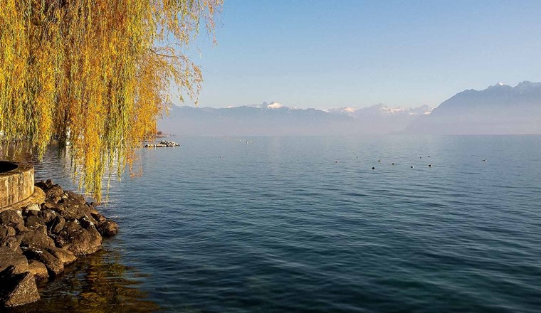 Genfersee (Bild: Adobe Stock)